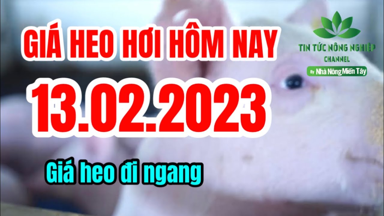 Vietnam live hog prices February 13, 2023