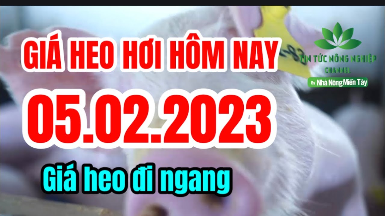 Vietnam live hog prices February 5, 2023