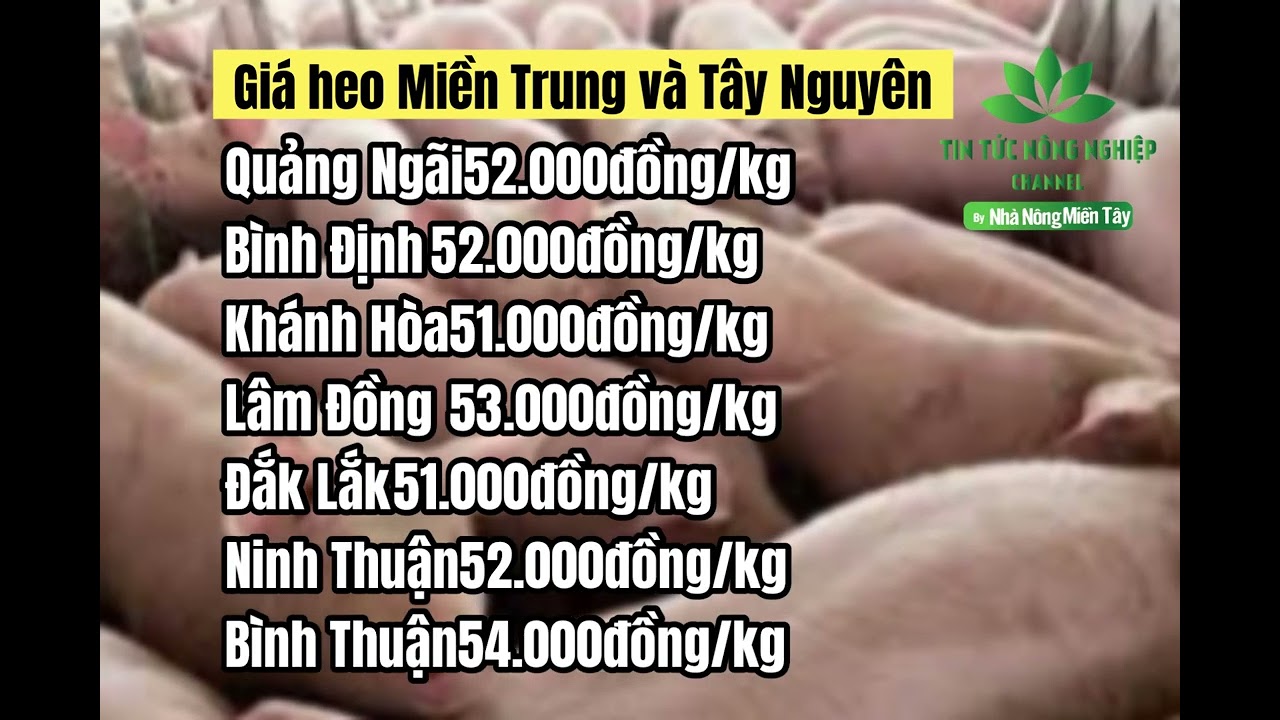 Vietnam live hog prices February 3, 2023