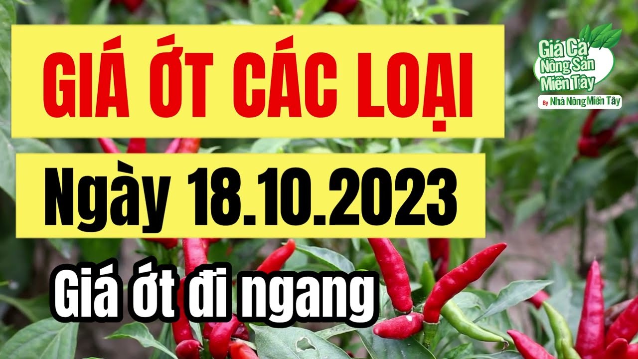 chili price October 18, 2023