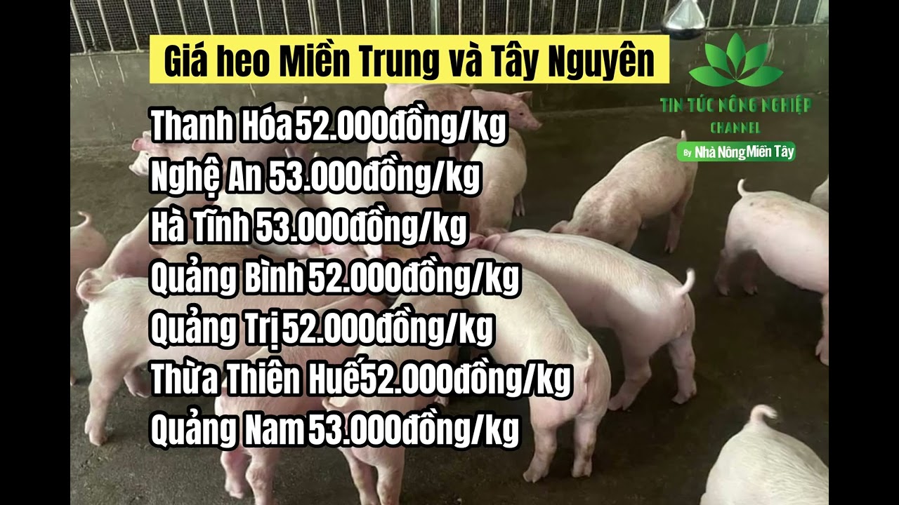 Vietnam live hog prices January 27, 2023
