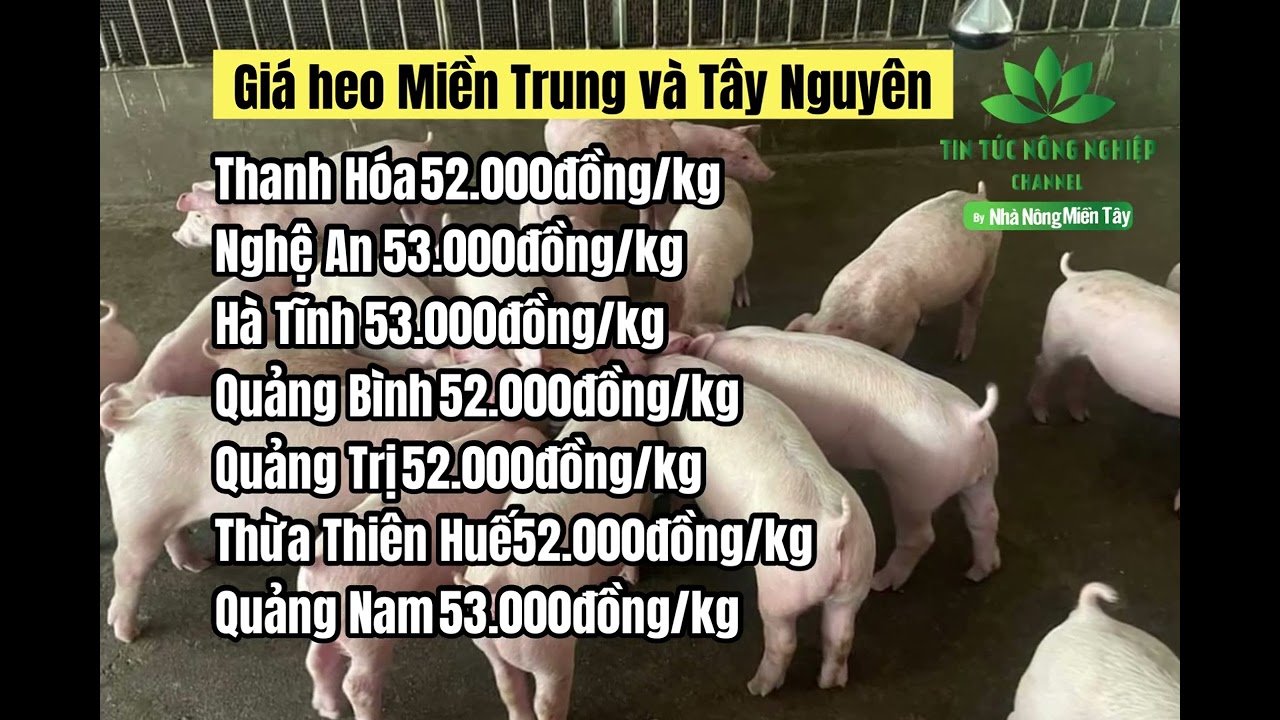 Vietnam live hog prices January 22, 2023