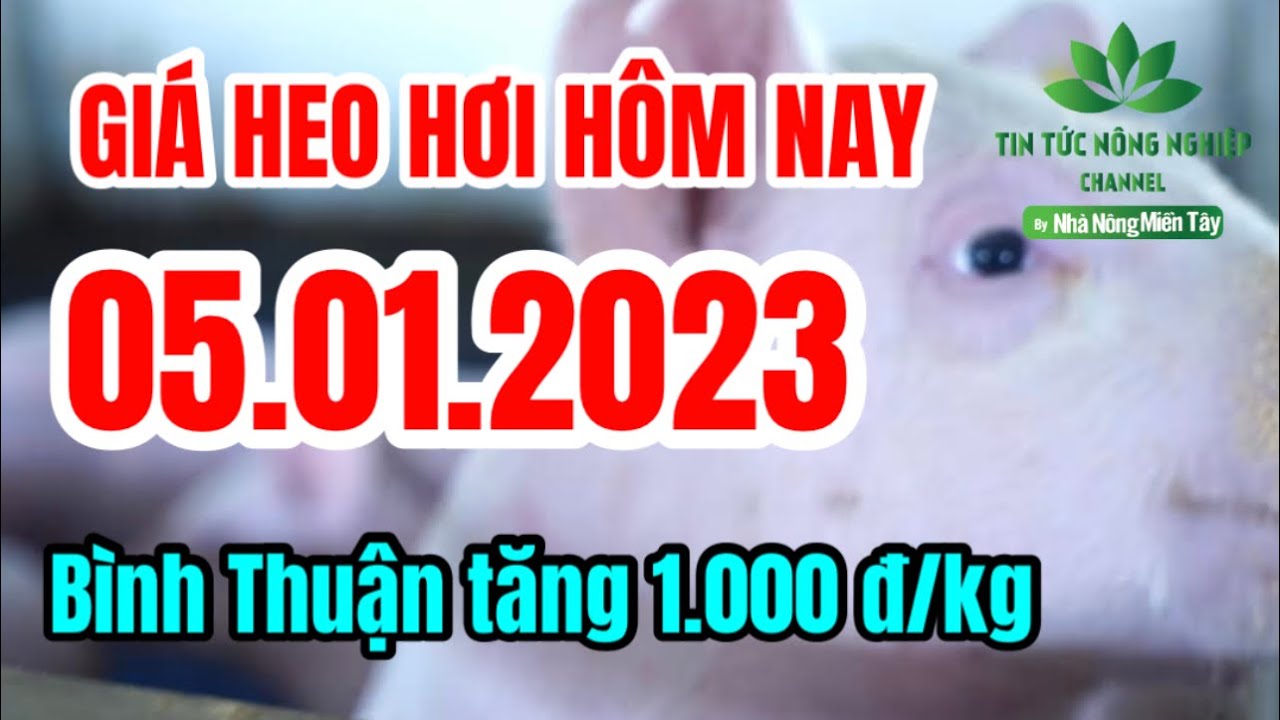 Vietnam live hog prices January 5, 2023