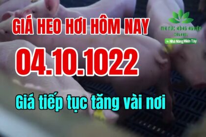 Vietnam live hog prices October 4, 2022