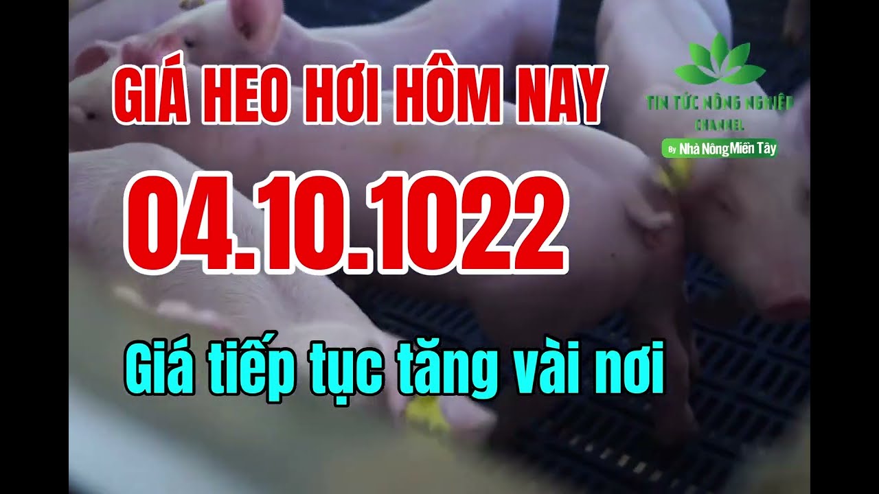Vietnam live hog prices October 4, 2022