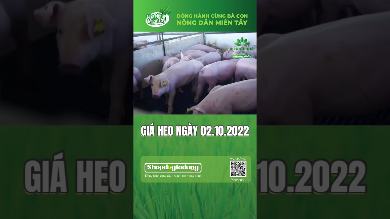 Vietnam live hog prices October 2, 2022