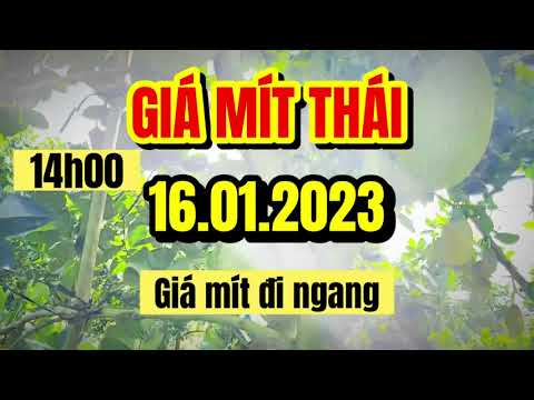 Thai jackfruit prices today
