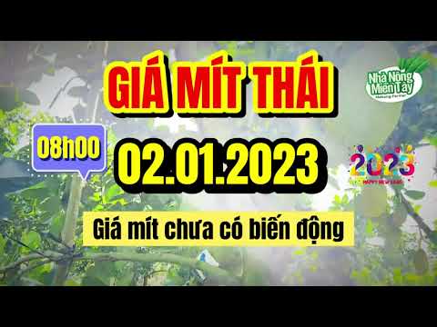 Thai jackfruit prices today