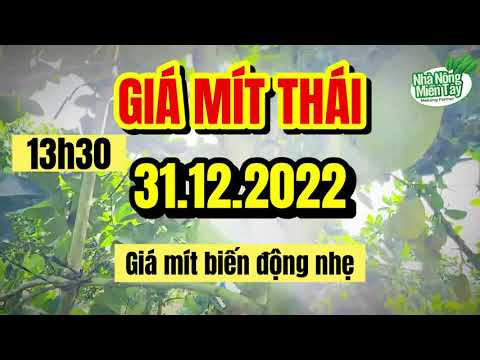 Thai jackfruit prices today