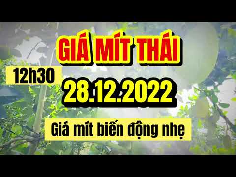 Thai jackfruit prices today