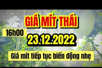 Thai jackfruit prices today