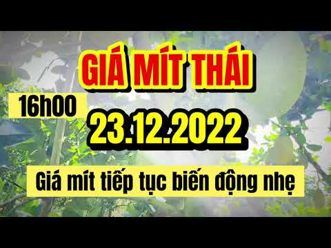 Thai jackfruit prices today