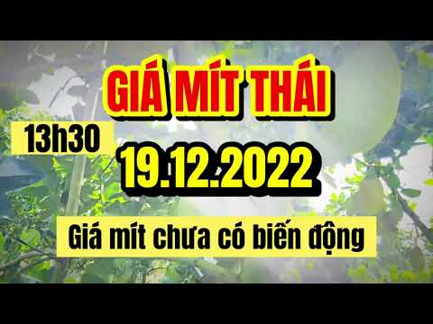 Thai jackfruit prices today