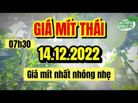Thai jackfruit prices today