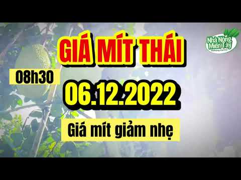Thai jackfruit prices today