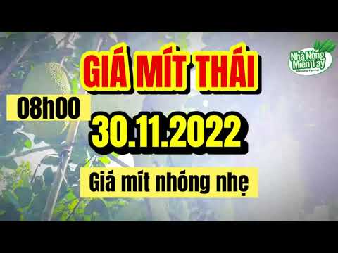 Thai jackfruit prices today
