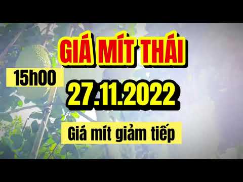 Thai jackfruit prices today