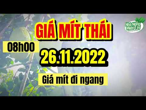 Thai jackfruit prices today