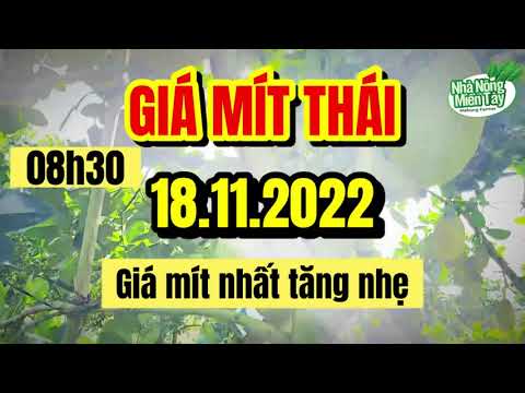 Thai jackfruit prices today