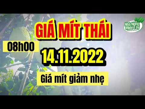 Thai jackfruit prices today