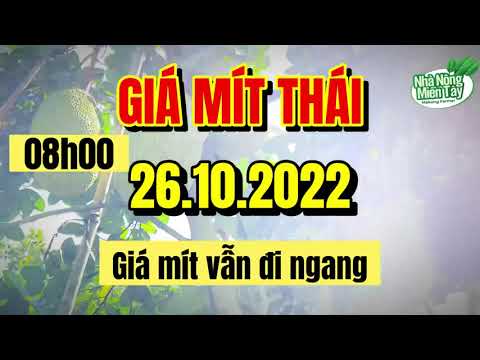 Thai jackfruit prices today