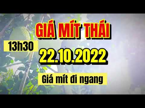 Thai jackfruit prices today