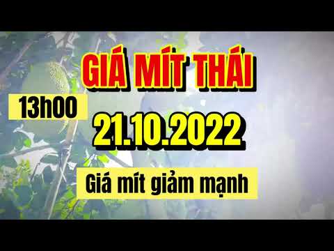 Thai jackfruit prices today