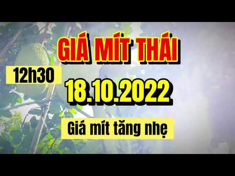 Thai jackfruit prices today