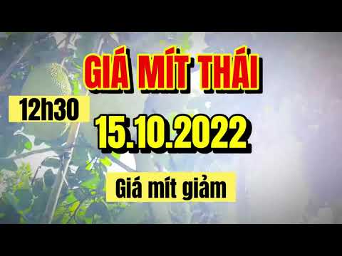 Thai jackfruit prices today