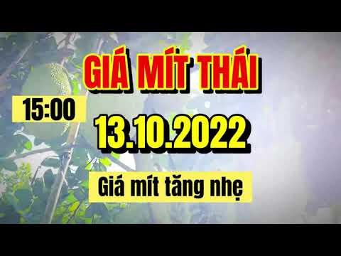 Thai jackfruit prices today