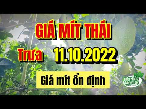 Thai jackfruit prices today