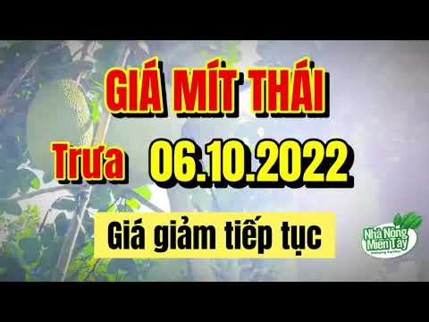 Thai jackfruit prices today