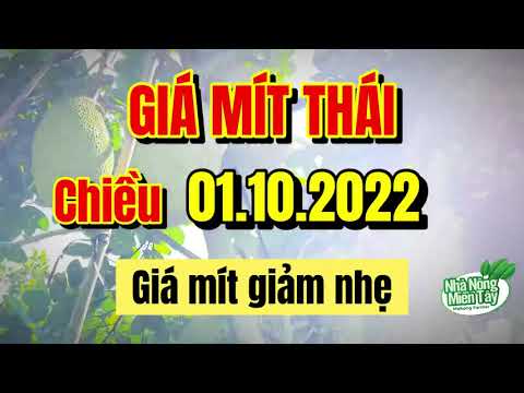 Thai jackfruit prices today