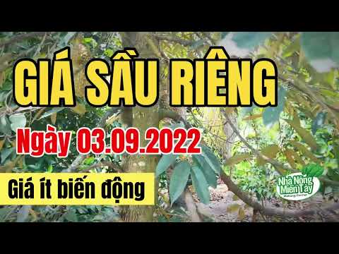 Vietnam durian prices September 3, 2022