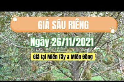 Vietnam durian prices November 26, 2021