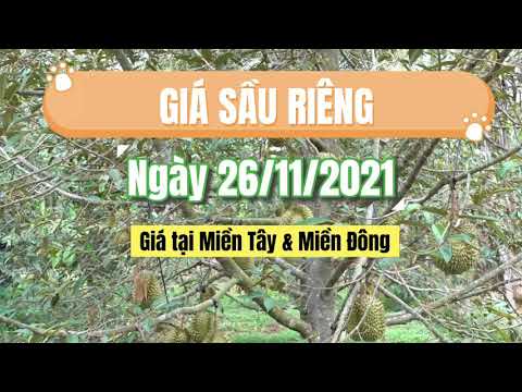 Vietnam durian prices November 26, 2021