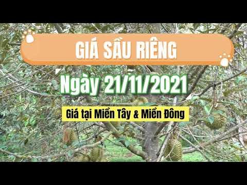 Vietnam durian prices November 23, 2021
