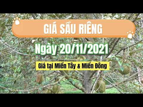 Vietnam durian prices November 20, 2021