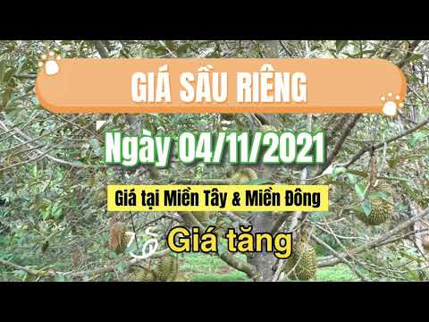 Vietnam durian prices November 4, 2021