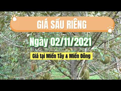 Vietnam durian prices November 2, 2021