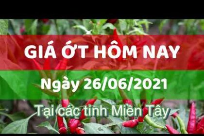 chili prices June 26, 2021
