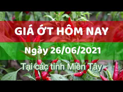 chili prices June 26, 2021