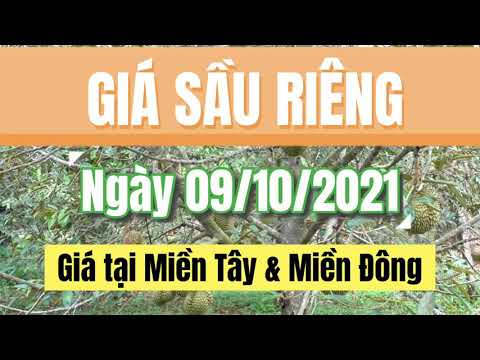 Vietnam durian prices October 9, 2021