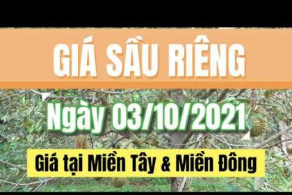 Vietnam durian prices October 3, 2021