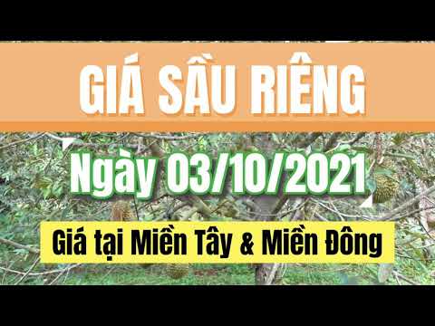 Vietnam durian prices October 3, 2021