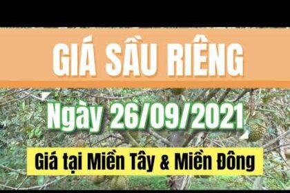 Vietnam durian prices September 26, 2021