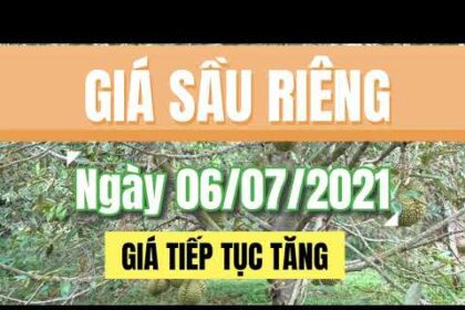 Vietnam durian prices July 6, 2021