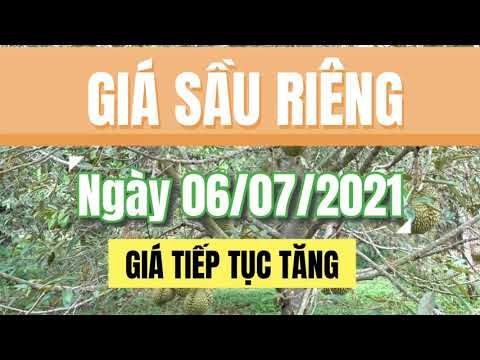 Vietnam durian prices July 6, 2021