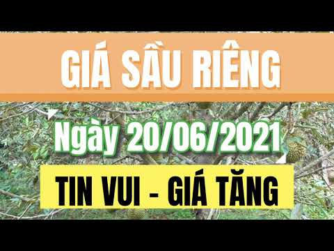 Vietnam durian prices June 20, 2021