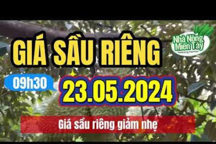 Vietnam durian prices May 22, 2024